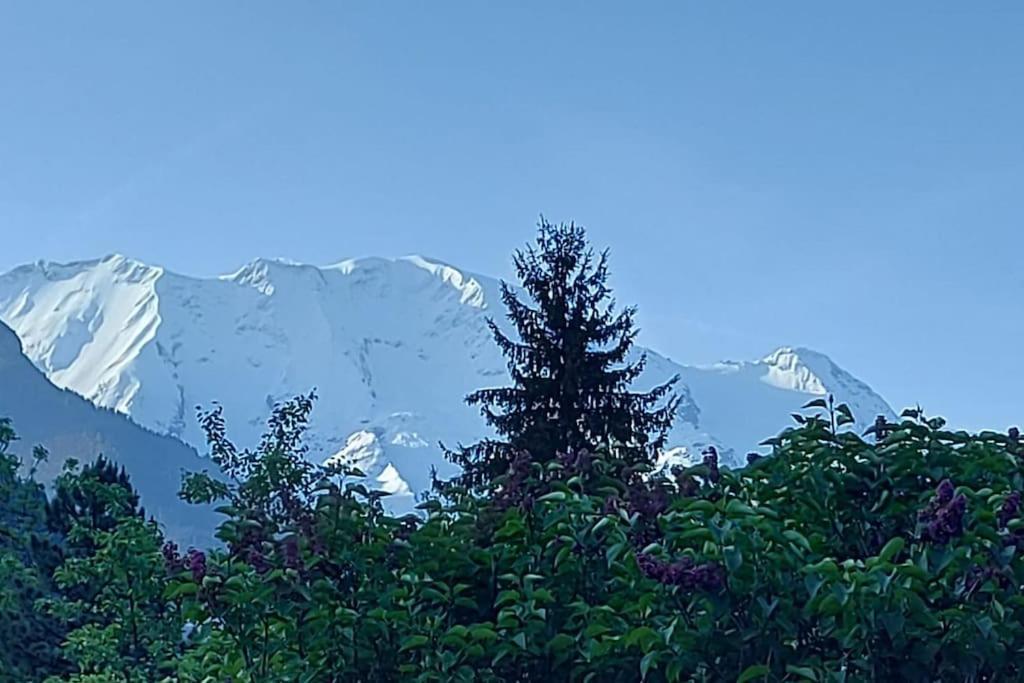 Appartement Dans Chalet - 75 M2 - 4 A 6 Personnes Saint-Gervais-les-Bains Bagian luar foto