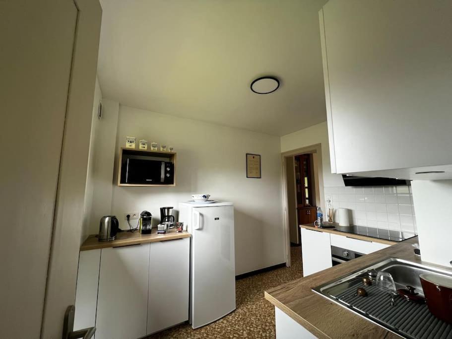 Appartement Dans Chalet - 75 M2 - 4 A 6 Personnes Saint-Gervais-les-Bains Bagian luar foto